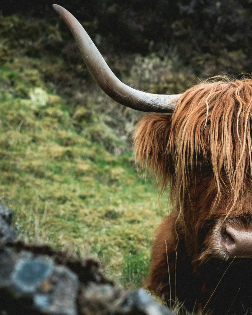 patrick-schneider-Il-ErBsaH4c-unsplash